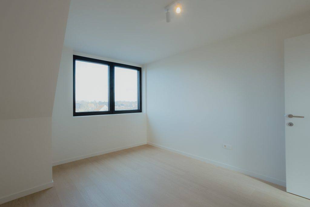 Logen Geel 23