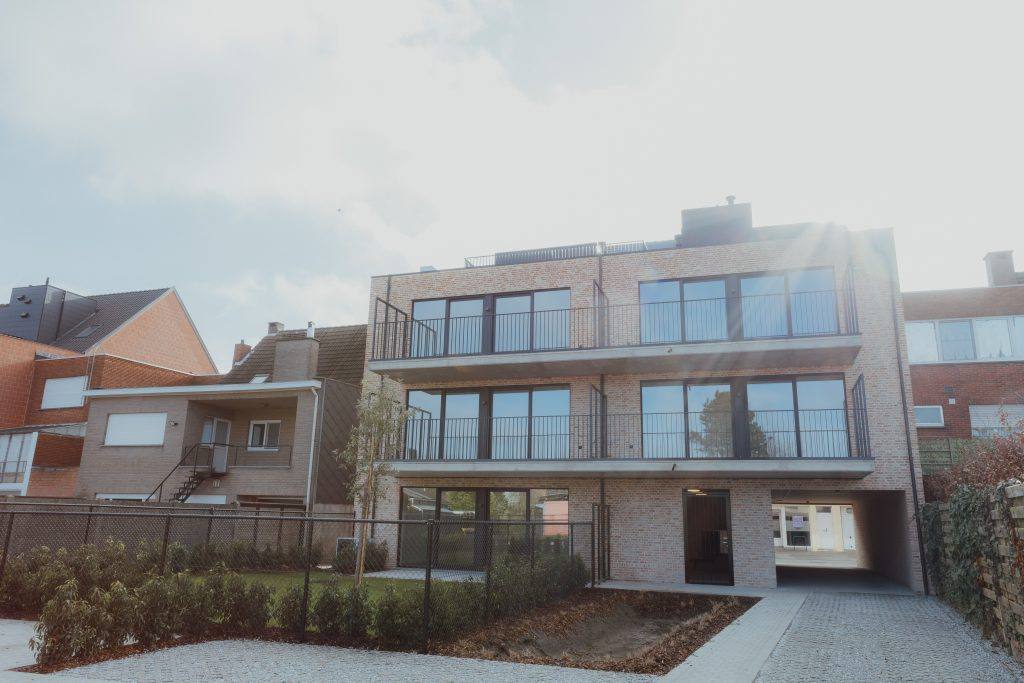 Logen Geel 6